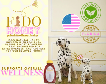 raw honey for dogs allergies