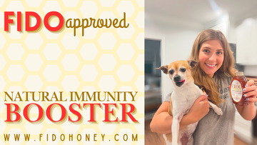 How Much Honey Can Dogs Have? A Complete Safety & Dosage Guide for Pet Parents