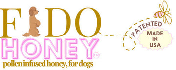 Benefits of Honey for Dogs