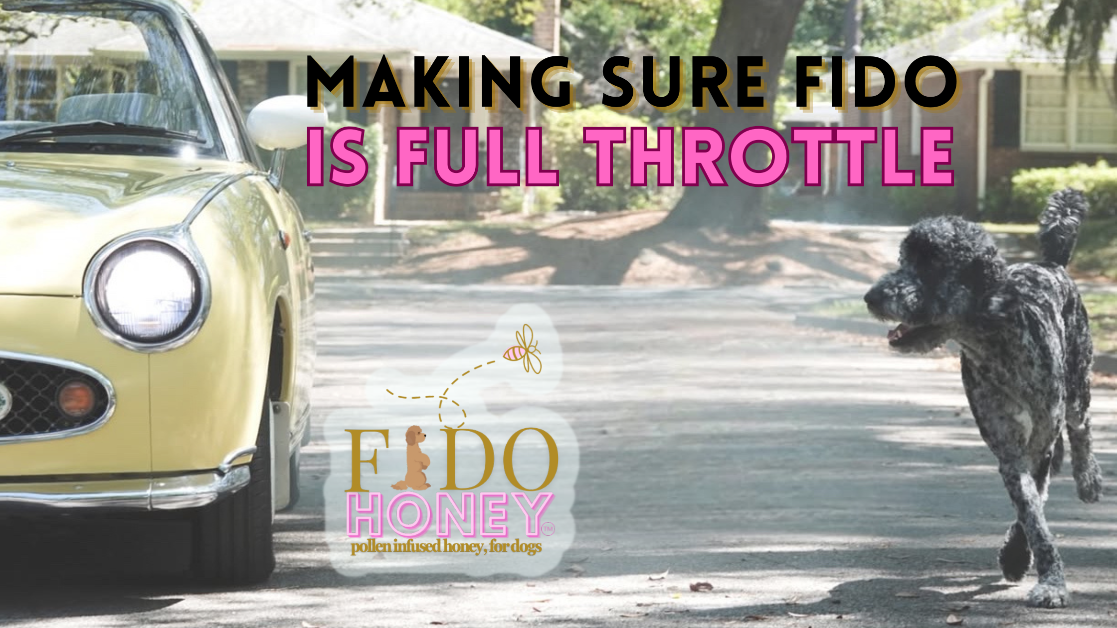 slider image slider_item_6aWtRx