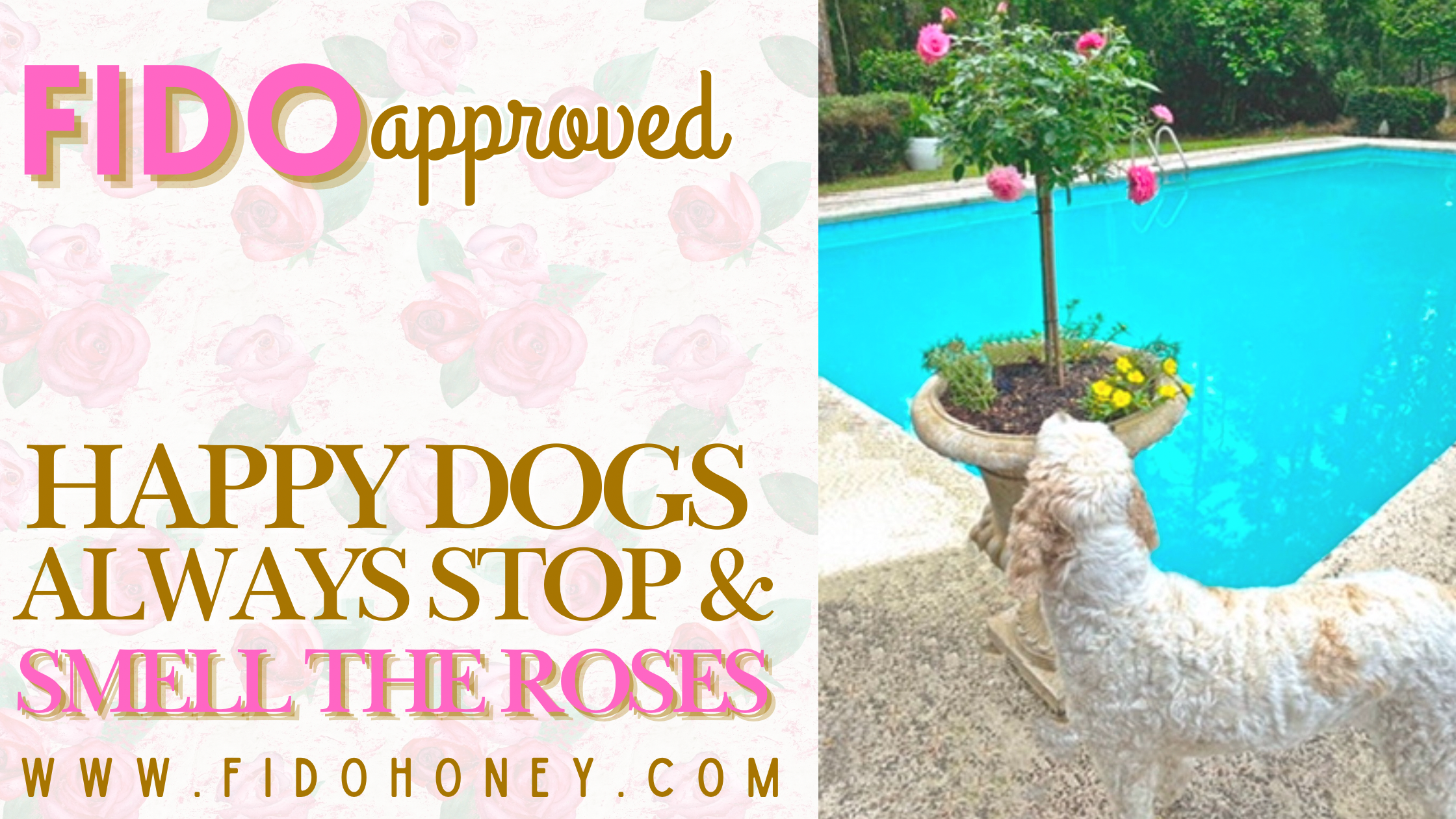 slider image slider_item_cGLQcA