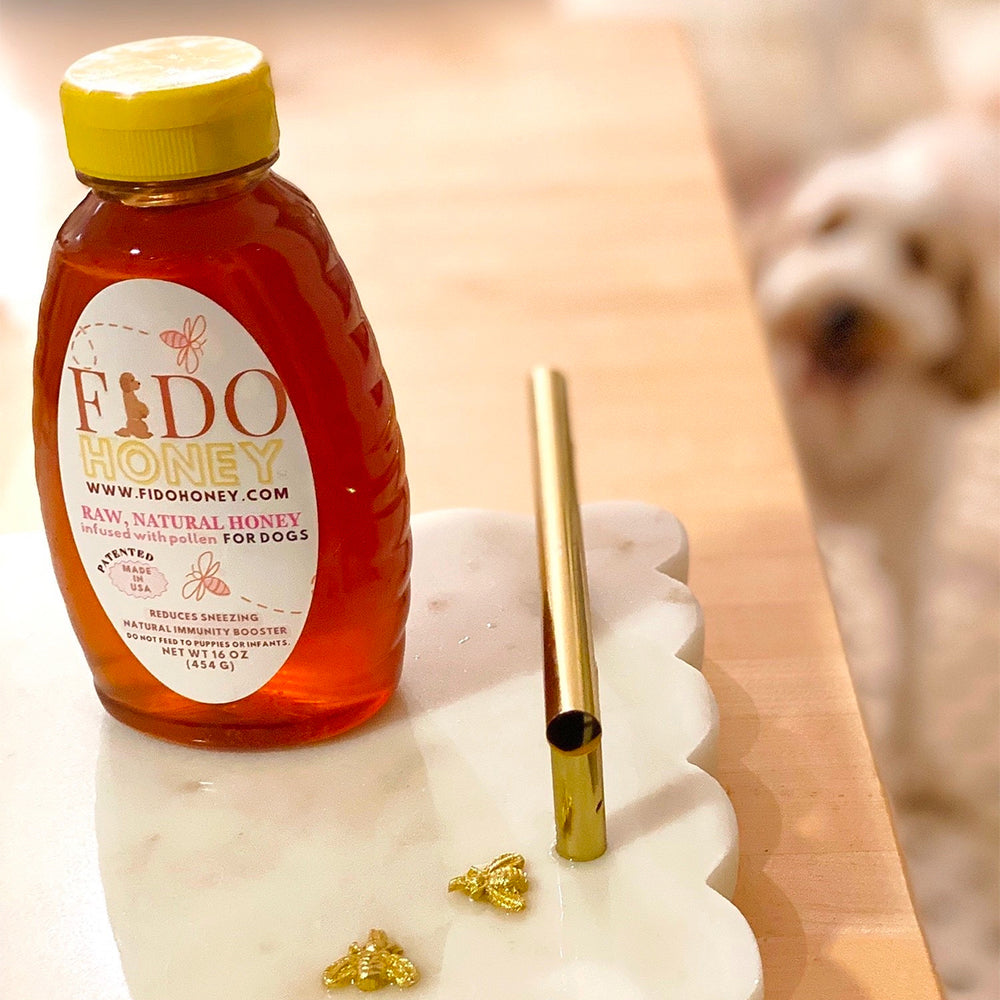 raw honey for dogs